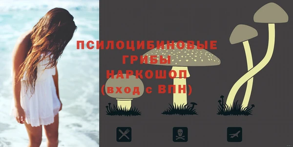 apvp Михайловск