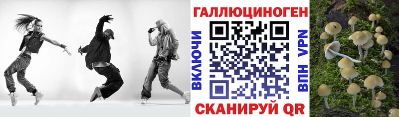 Псилоцибиновые грибы мицелий  даркнет состав  Кукмор  купить наркотики цена 